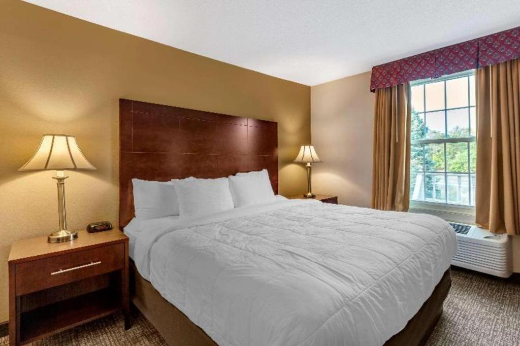 Comfort Inn Foxboro - Mansfield Foxborough Extérieur photo