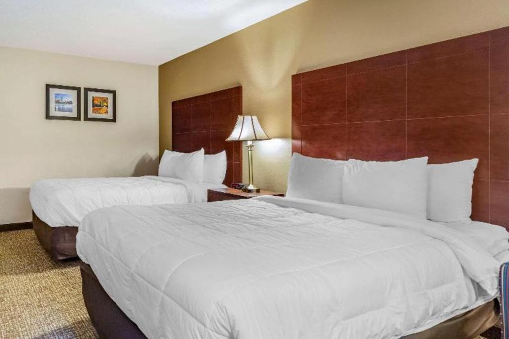 Comfort Inn Foxboro - Mansfield Foxborough Extérieur photo