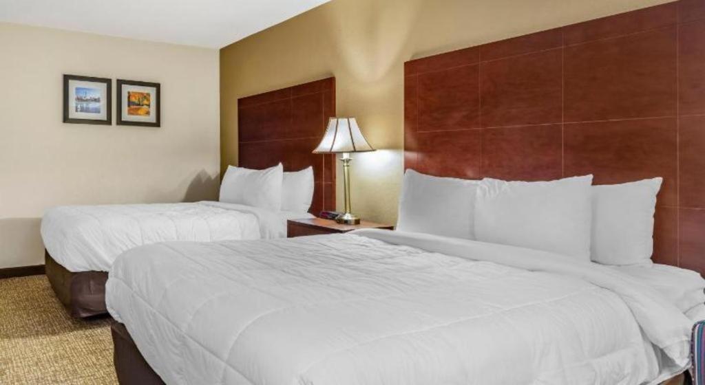 Comfort Inn Foxboro - Mansfield Foxborough Extérieur photo